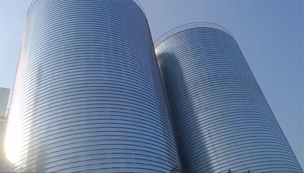 蜀山2座混凝土高架卷板仓